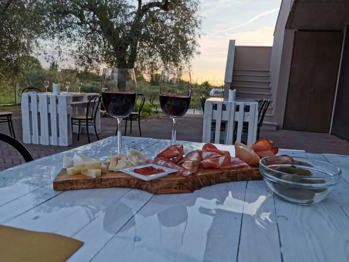 Agricamping Al Grappolo Divino Lazise Vakantieboerderij