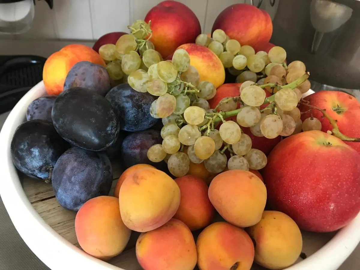 农家乐 Agricamping Al Grappolo Divino 拉齐塞 意大利