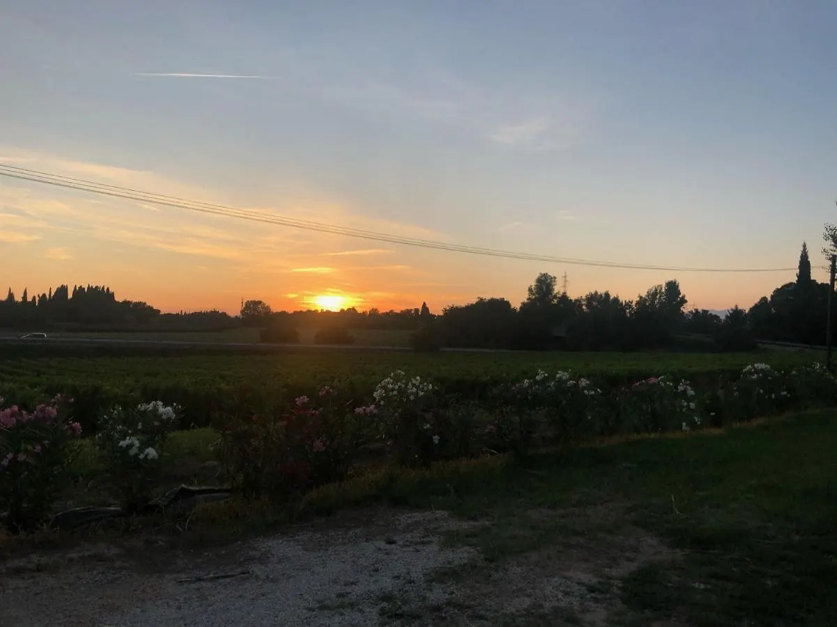 Agricamping Al grappolo diVino Lazise Italia