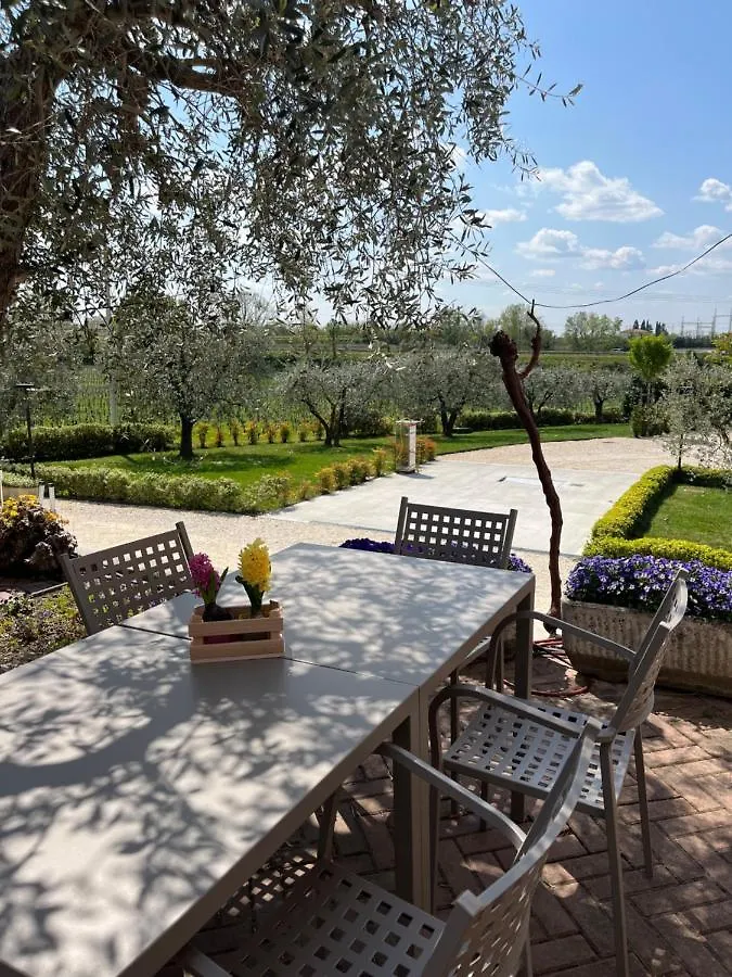 Bauernhof Agricamping Al Grappolo Divino Lazise